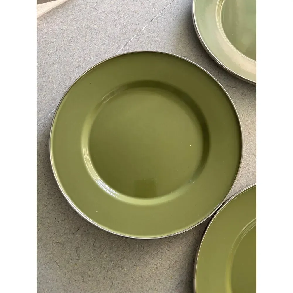 Set of 4 Crate and Barrel Enamelware Dinner Plates Sage Green